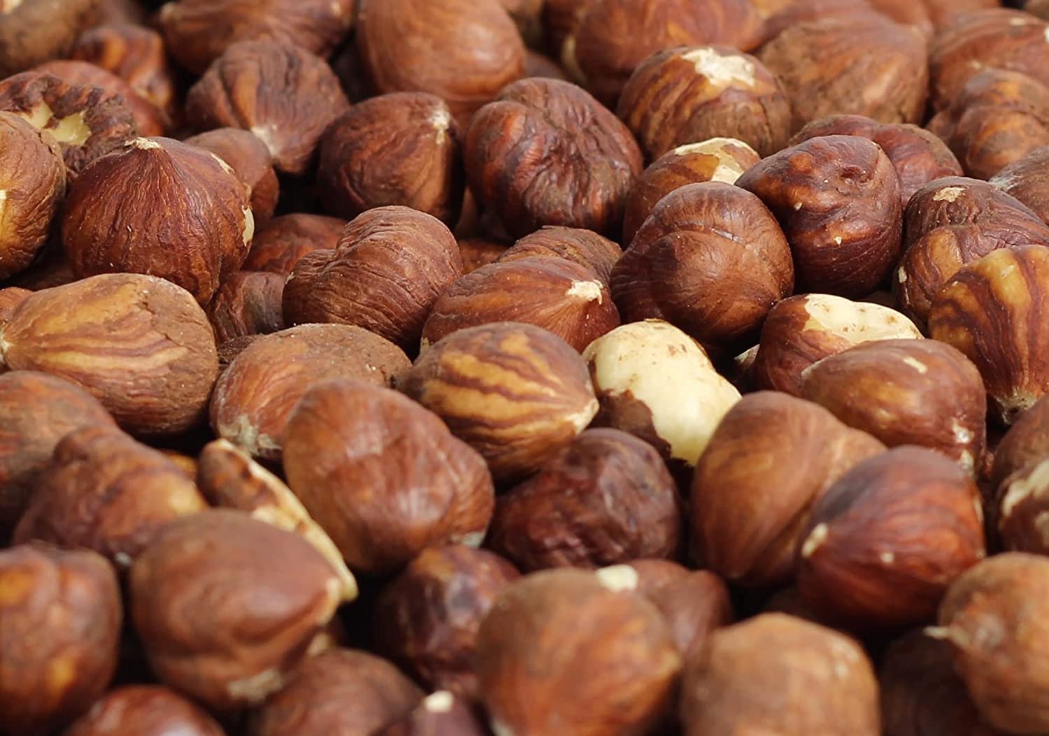 Premium Raw Shelled Hazelnuts - 2.5 lbs Jumbo Jar - Healthy Snack for Baking, Cooking & Gift Giving - Perfect for Nut Butter, Desserts & Holiday Treats
