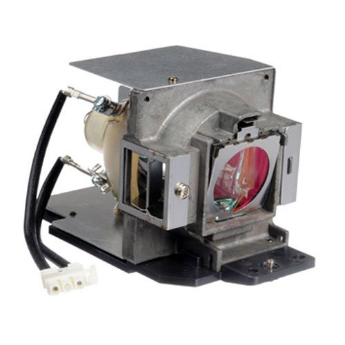 Original Benq 5J.J0405.001 Replacement Projection TV Lamp Bulb with Housing - Compatible with RPTV Models | Perfect for Home Theater & Business Projector Systems