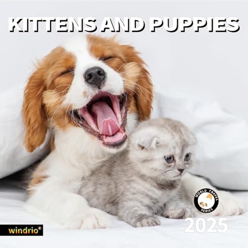Kittens And Puppies