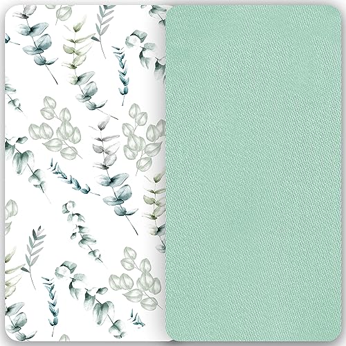 Botanical Plant & Solid Mint
