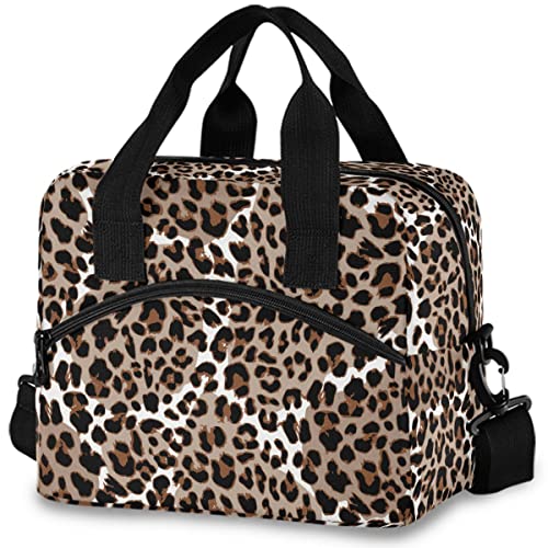 Leopard 01