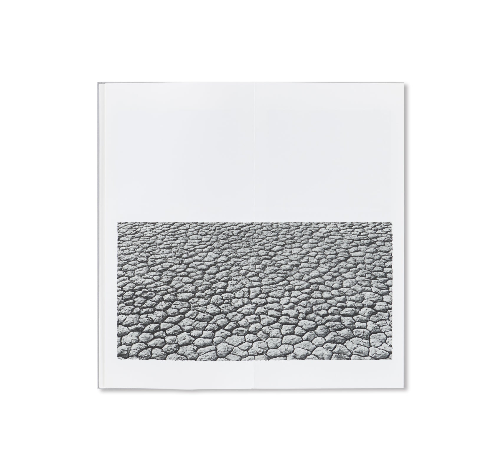 OPENING by Jungjin Lee - Stunning Art Book for Home Decor, Office Display & Gift Ideas | Explore Contemporary Photography & Unique Aesthetic