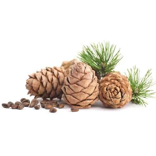 100% Pure Cedarwood Essential Oil - Natural Therapeutic Grade for Relaxation, Skin & Hair Care, Aromatherapy (15ml) | Perfect for Diffusers, Massage & DIY Beauty Products