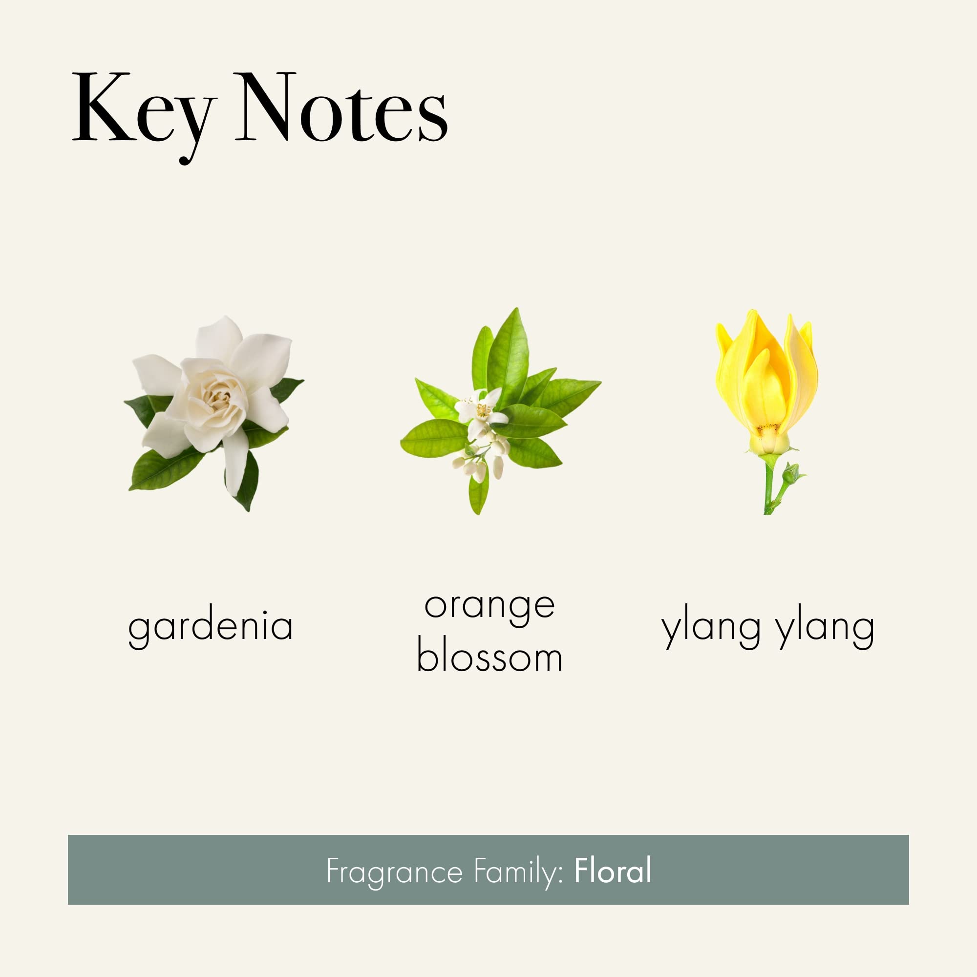 LAFCO New York Signature Reed Diffuser - Fresh Cut Gardenia Scent, 15 oz - Long-Lasting Fragrance up to 9 Months - Handcrafted Glass Vessel with Natural Wood Reeds - Made in USA - Perfect for Home, Office & Spa Decor