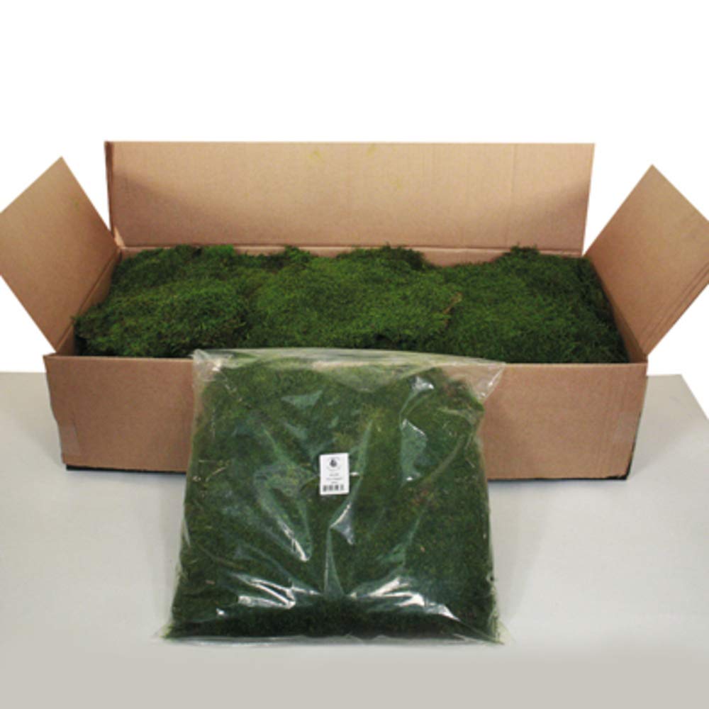 Vickerman Preserved Green Moss Sheet - 6.6 Lbs Bulk Case for Floral Arrangements, Terrariums & Home Decor