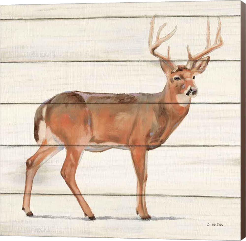 Northern Wild V by James Wiens - 24x24 Inch Canvas Wall Art with Nutmeg Sides, Museum Wrapped for Home & Office Decor | Perfect for Living Room, Bedroom or Gallery Display