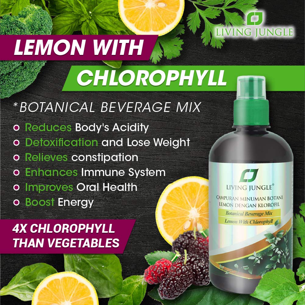 Premium Liquid Chlorophyll Supplement 500ml (3-Pack) - Detox & Energy Boost - Great for Smoothies, Juices & Daily Wellness - Expires Jun 2022