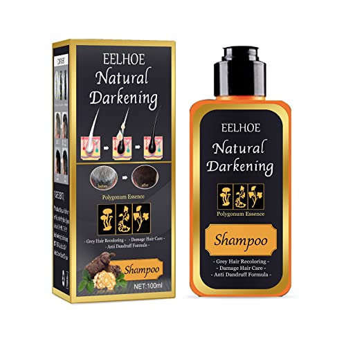 Anti-Dandruff Shampoo with Polygonum Multiflorum - 100ml Black Hair Treatment for Dandruff Relief, Hair Loss Prevention & Scalp Care | Leave-in Conditioner for Damaged Hair | Perfect for Dry Scalp & Color-Treated Hair (One Size)