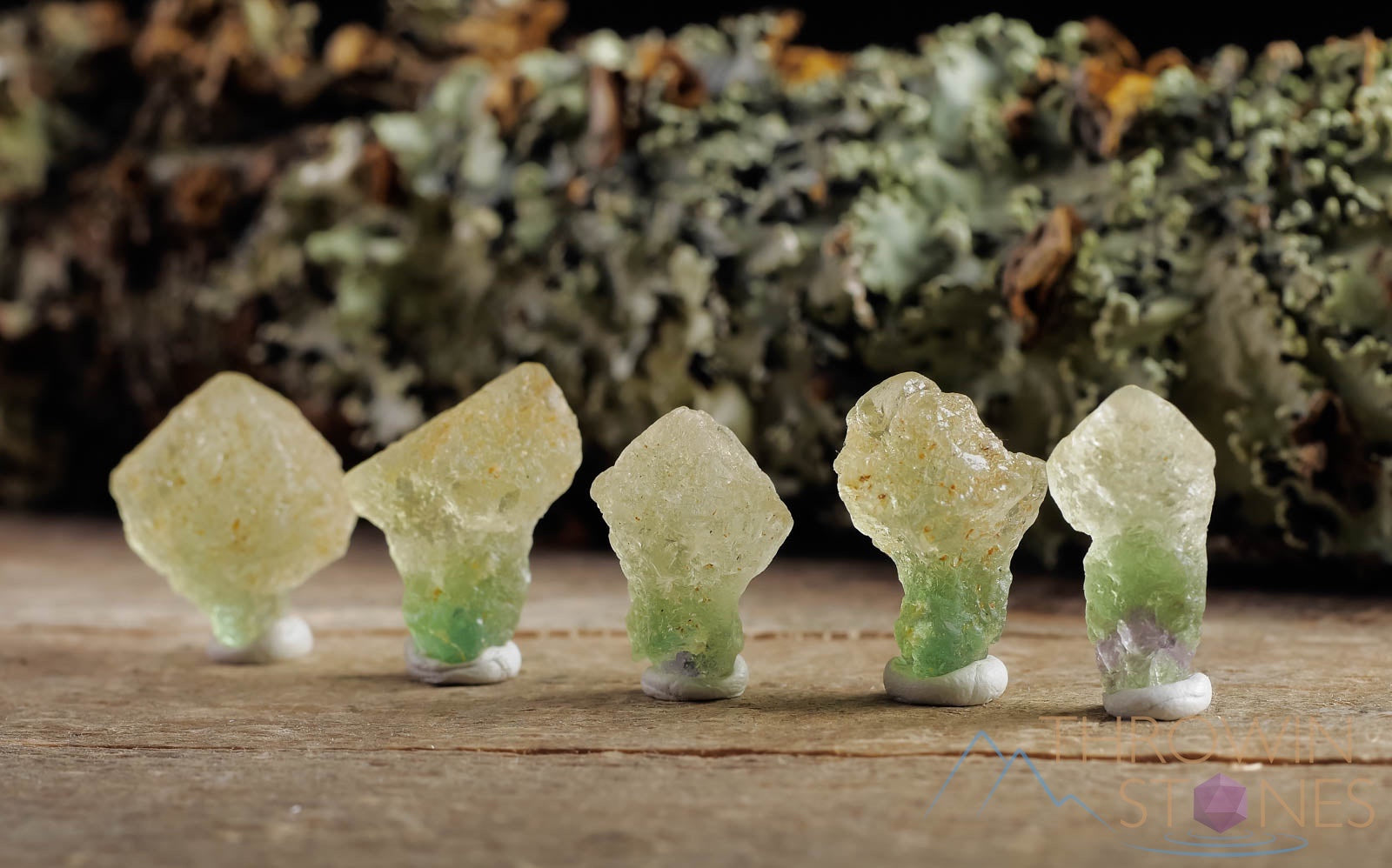 Natural Green Fluorite Raw Crystal Mushroom - Metaphysical Healing Stone, Home Decor, Raw Crystals & Minerals for Meditation (E1441) | Spiritual Healing, Reiki Energy, Feng Shui Decor