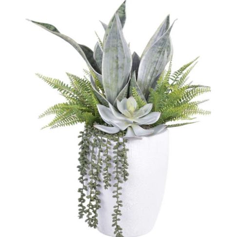 Milani Ceramic Vase with Snake Plant and Succulents - Modern Home Decor for Living Room, Office & Wedding Centerpiece