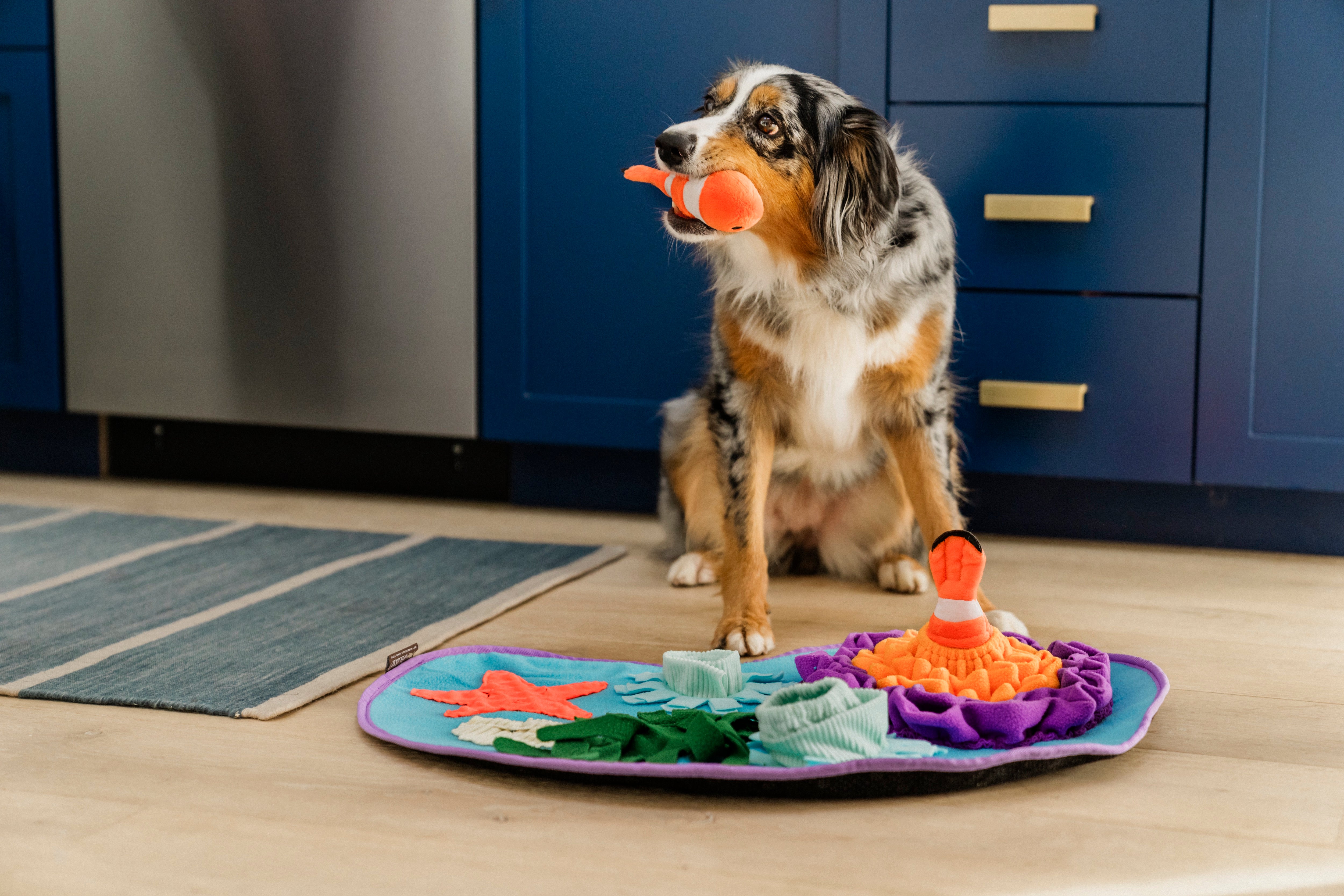 El Coral Scented Dog Mat | Pet P.L.A.Y. Aromatherapy Chew Toy for Puppies & Dogs - Perfect for Calming Anxiety, Teething Relief & Playtime