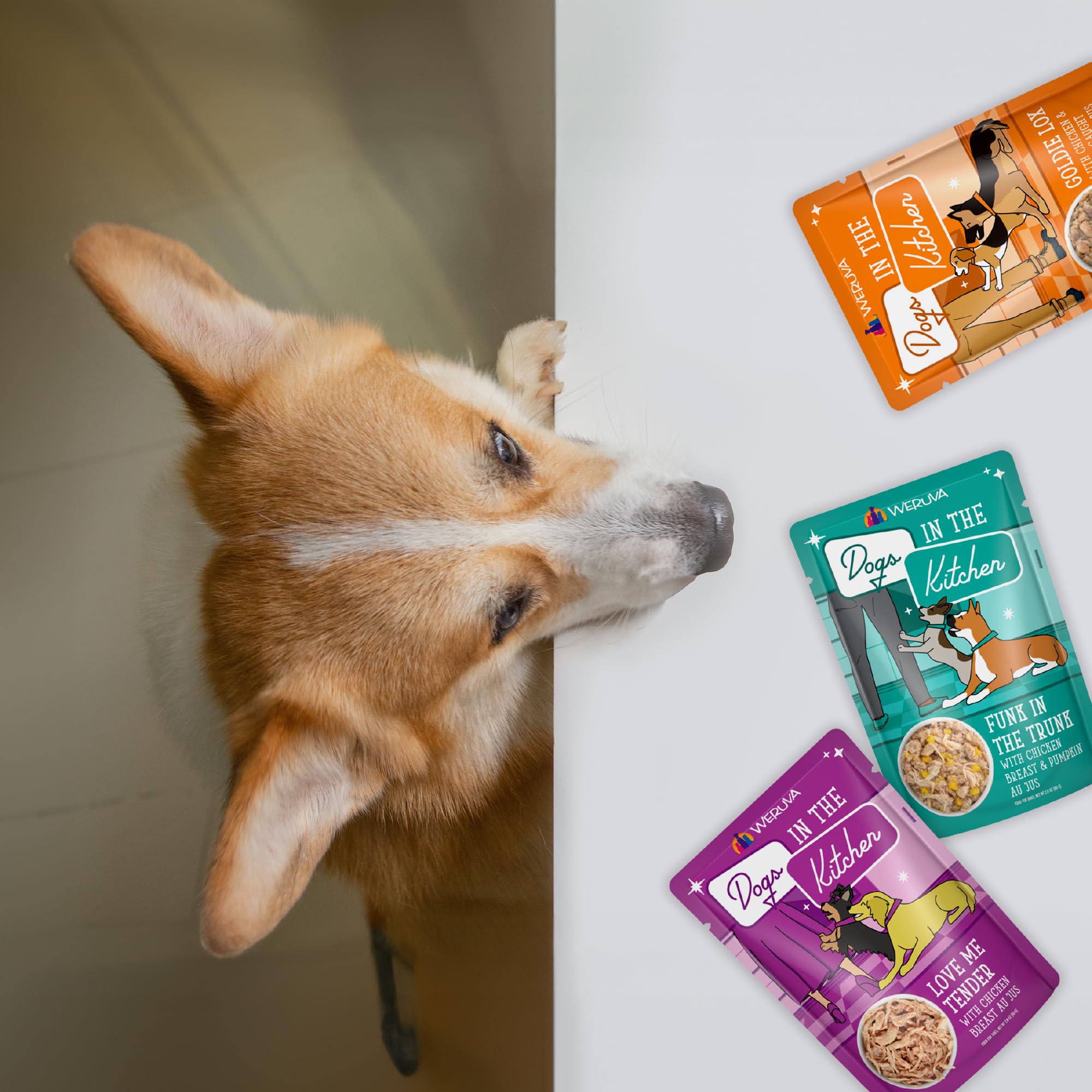 Weruva Dogs in The Kitchen Variety Pack - Pooch Pouch Party! Wet Dog Food for Small & Medium Breeds, 2.8Oz Pouches (Pack of 12) - Perfect for Travel, Training Treats & On-The-Go Meals