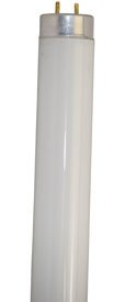 FL30S LED Light Bulb Replacement - Energy Efficient, Long-Lasting Technical Precision Light for Home & Office Use - Perfect for Lamps, Ceiling Fixtures, and Task Lighting