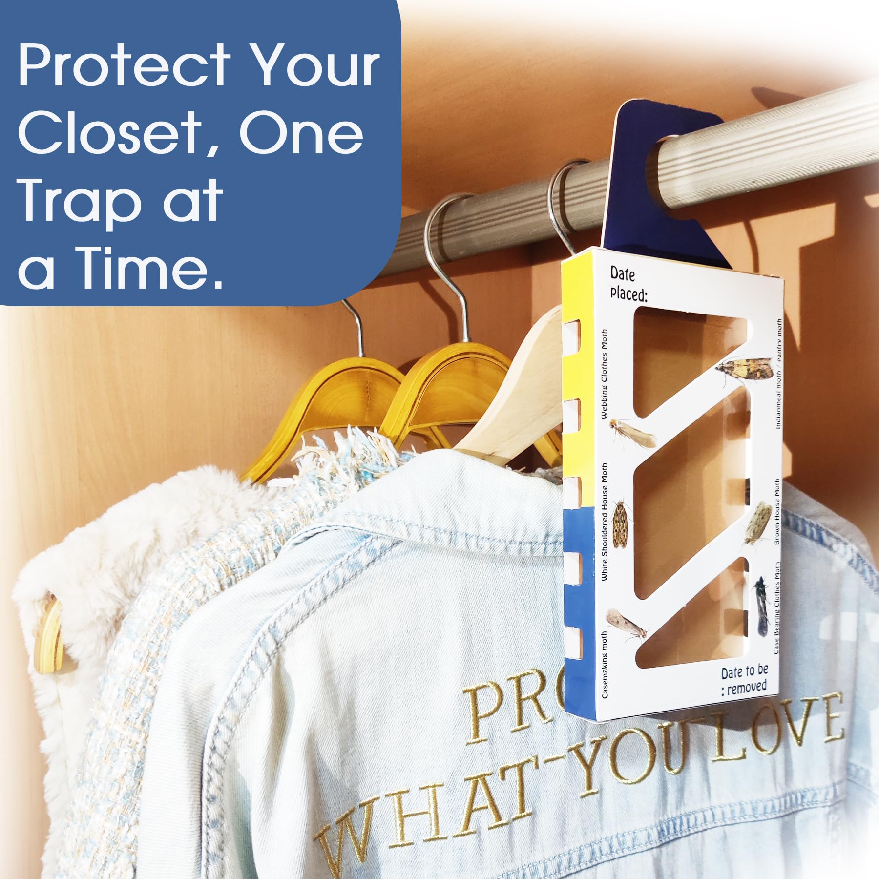 Premium Dual Moth Traps for Clothes & Pantry - Safe, Odor-Free Pheromone Traps (4 Pack) - Protect Wool, Cashmere & Stored Food from Moth Damage - Ideal for Wardrobes, Storage Boxes & Kitchen Cabinets