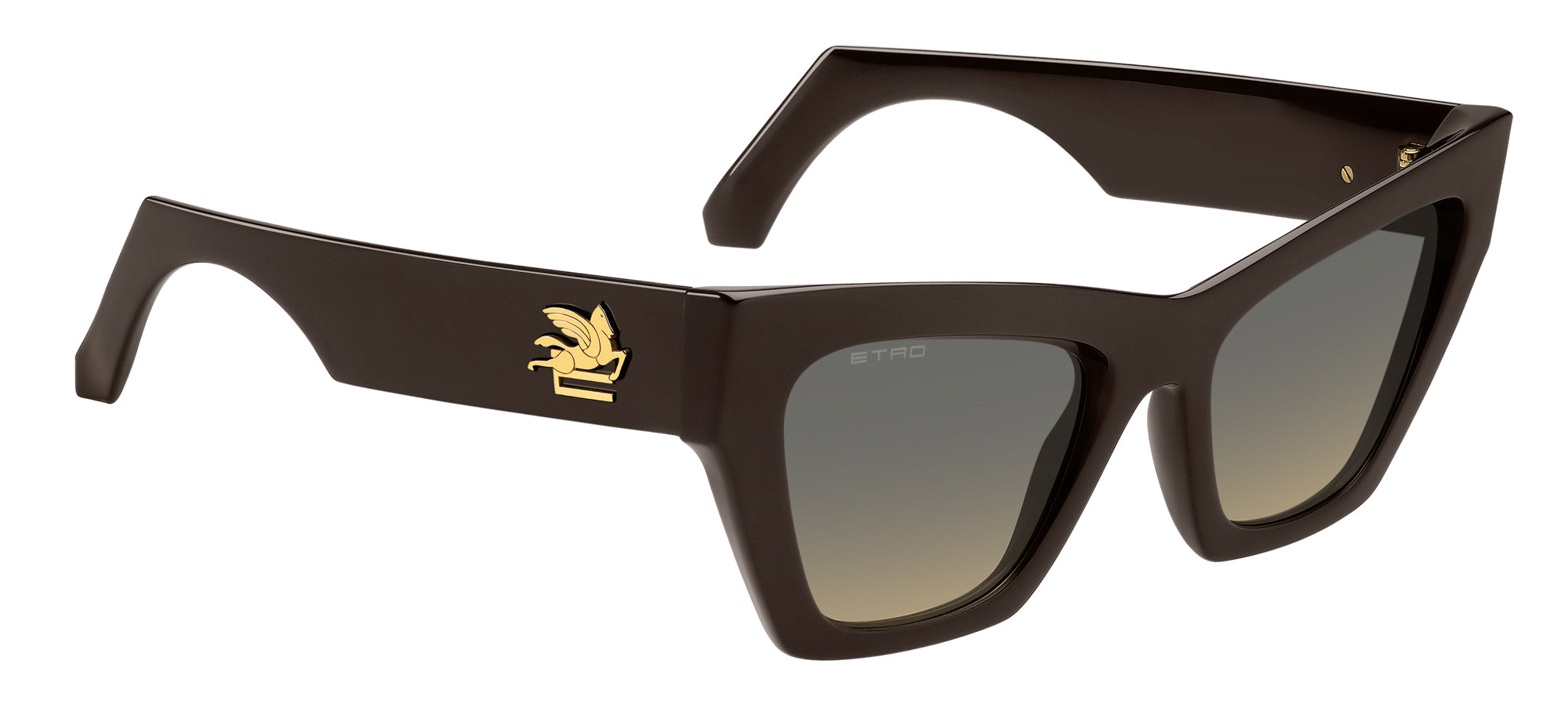 Etro 0050 S Sunglasses - Polarized UV Protection for Men & Women - Perfect for Driving, Outdoor Sports & Fashion Accessories