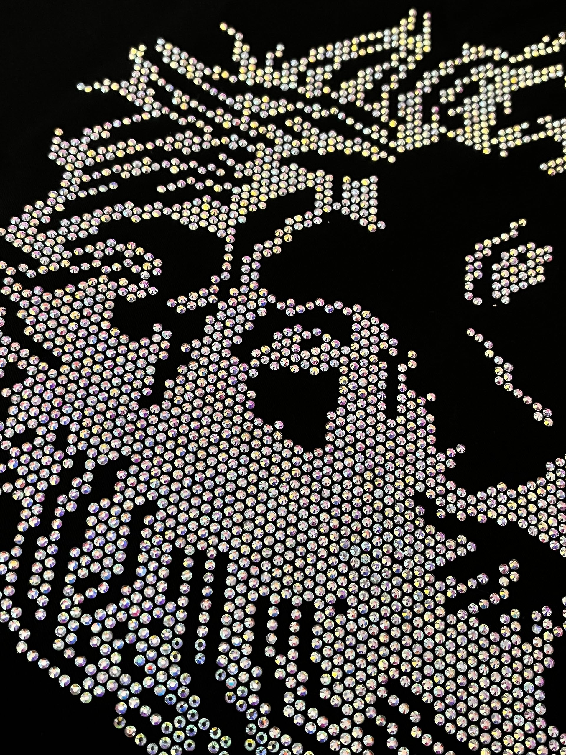 Rhinestop AB Crystal Lion Iron-on Rhinestone Patch - DIY Clothing Decoration for Jackets, Hats, Bags & Costumes