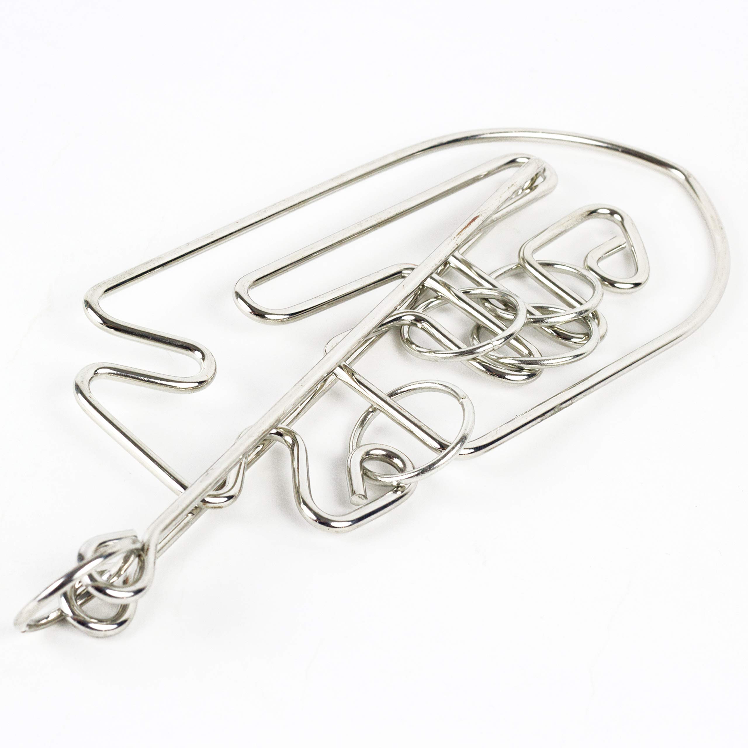 Professor PUZZLE The Einstein Collection - 3D Metal Brain Teaser Puzzle | Einstein’s Fish Interlocking Puzzle | Challenging Mind Game for Adults & Teens | Perfect for Office Desk, Gifts & STEM Learning