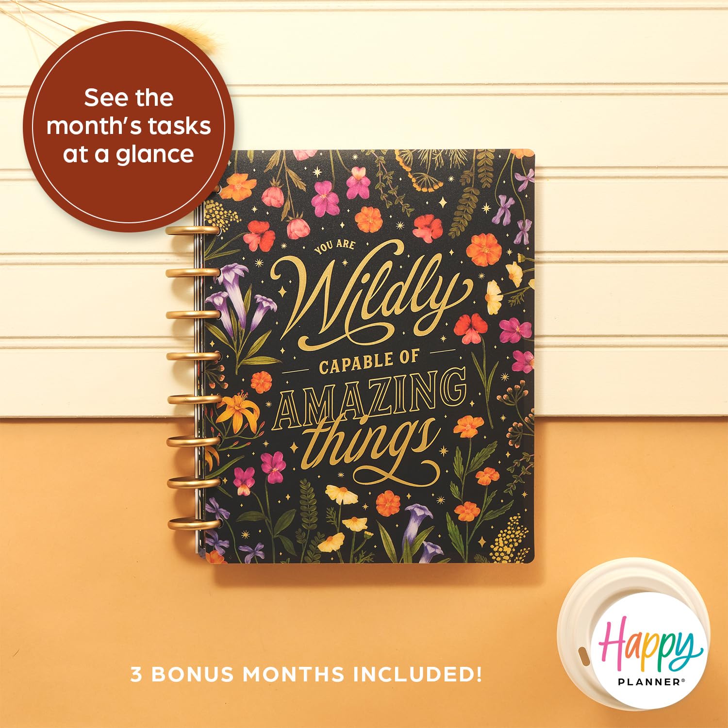Happy Planner Disc-Bound 12-Month Planner 2025 - Classic Size (7