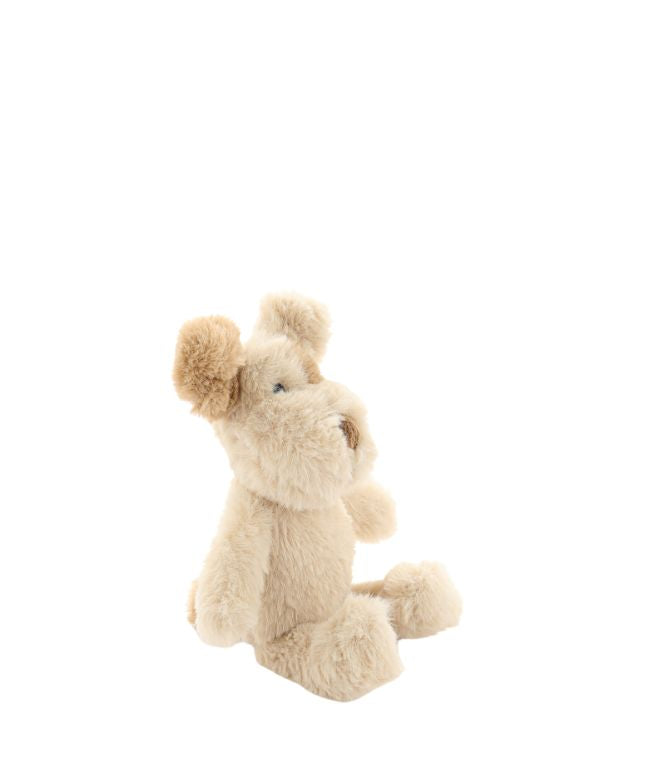 Buddy the Dog Rattle Toy - Cute Puppy Teether for Babies & Toddlers - Perfect for Early Learning, Sensory Play and Soothing Teething Pain