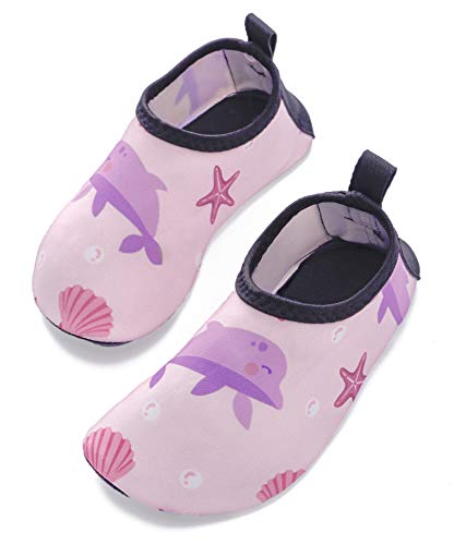 Pink Dolphin