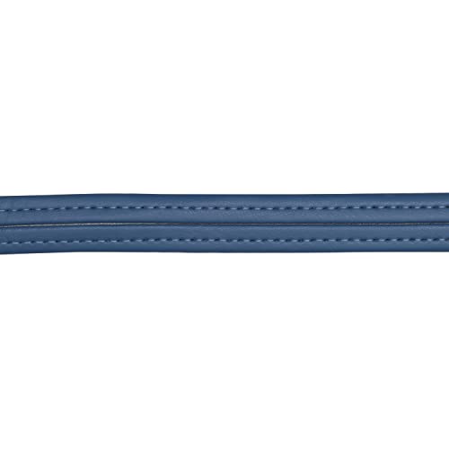 Blue Medium