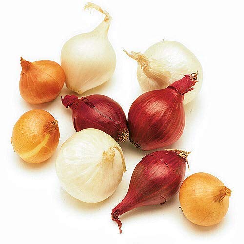Fresh Pearl Onions Mix - Yellow, White & Red Onions (3 Pack, 10oz Each) - Perfect for Salads, Soups, Stir-Fries & Gourmet Cooking