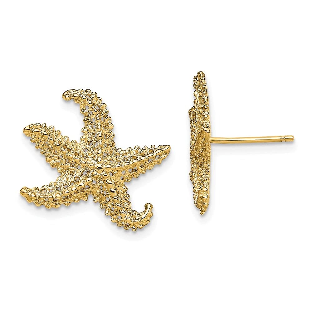 14K Yellow Gold Textured Starfish Stud Earrings for Women - Diamond2Deal Fine Jewelry - Perfect for Beach Vacations, Summer Outfits & Gift Giving