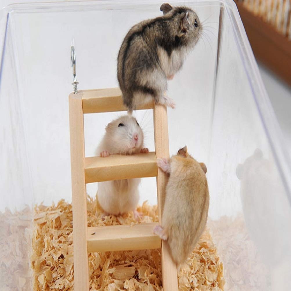 Feltsky 4-in-1 Natural Wooden Hamster Toys Set with Ladder, Swing, Barrel & Seesaw - Chew Toys for Gerbils, Rats, Guinea Pigs & Chinchillas - Perfect for Small Pet Exercise & Cage Enrichment