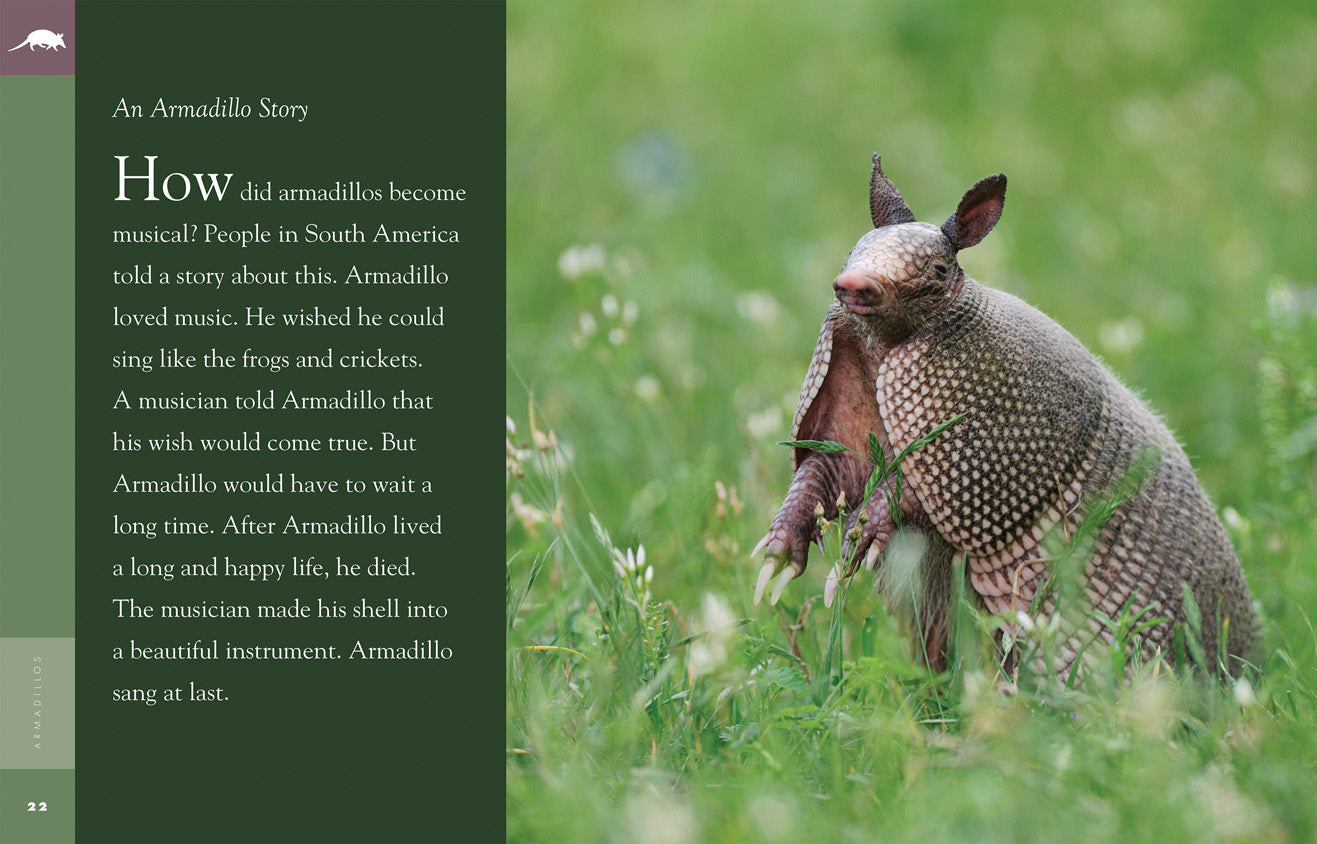 Amazing Animals (2014): Armadillos - Educational Wildlife Documentary for Kids & Nature Lovers | Perfect for Classroom Learning & Family Movie Nights