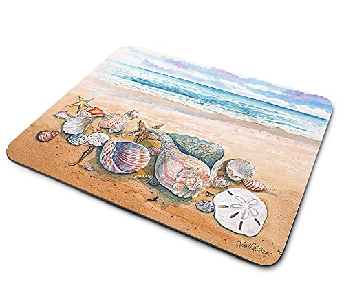 Shells on the Beach
