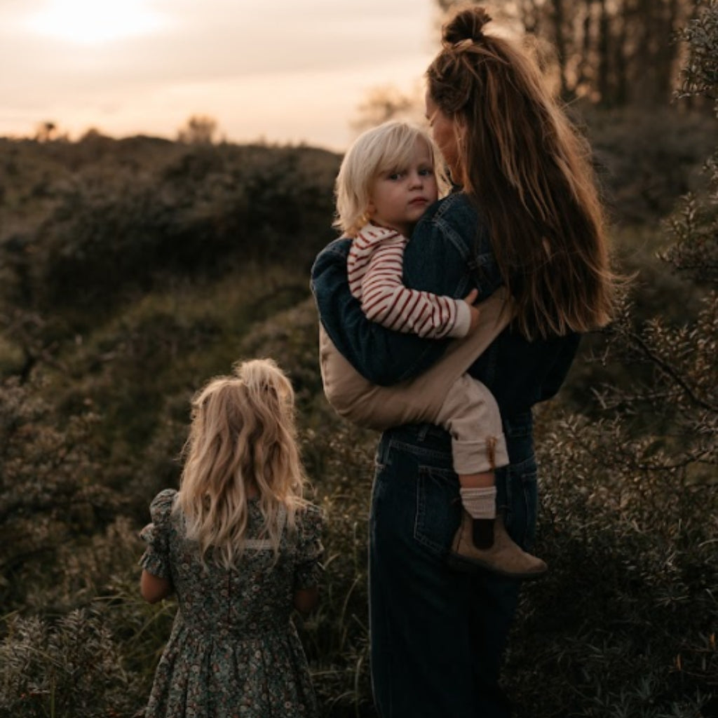 WILDRIDE Baby Carrier Backpack - Lightweight & Ergonomic Toddler Hiking Carrier for Outdoor Adventures, Travel & Hands-Free Parenting (Ages 6 Months to 4 Years)