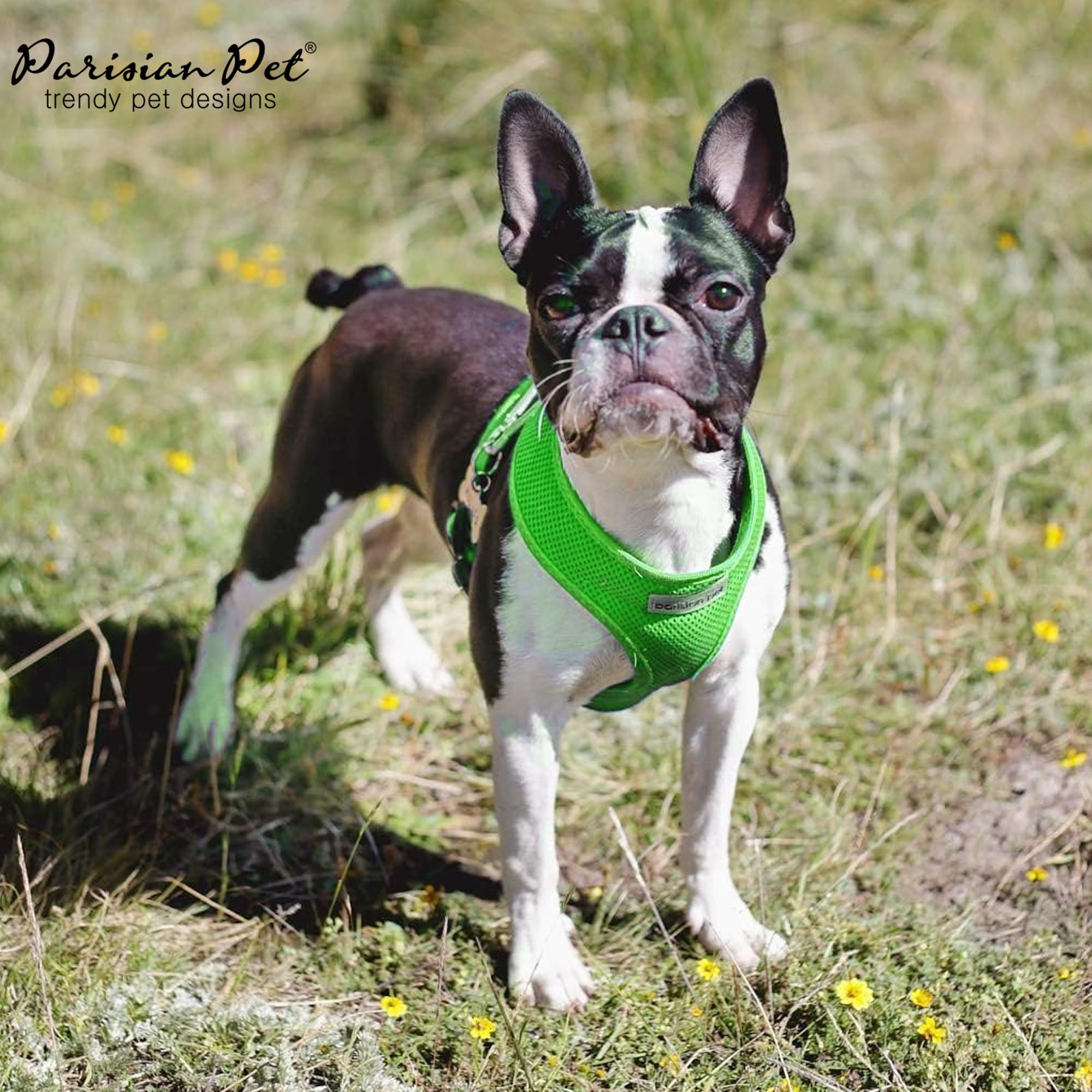 Parisian Pet Adjustable No-Pull Dog Harness - Bright Green Padded Vest for Small Dogs - Choke-Free Cooling Harness for Walking, Running & Hiking - Puppy Harness Size S - Perfect for Outdoor Adventures & Daily Walks