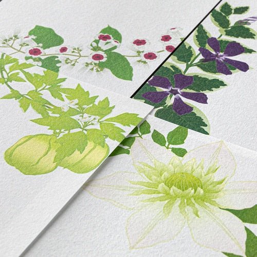 Seasons Silk Print Envelope Letter Paper Set - Premium Midori DESIGNPHIL Stationery for Journaling, Scrapbooking & Gift Wrapping (Elegant Floral Design)