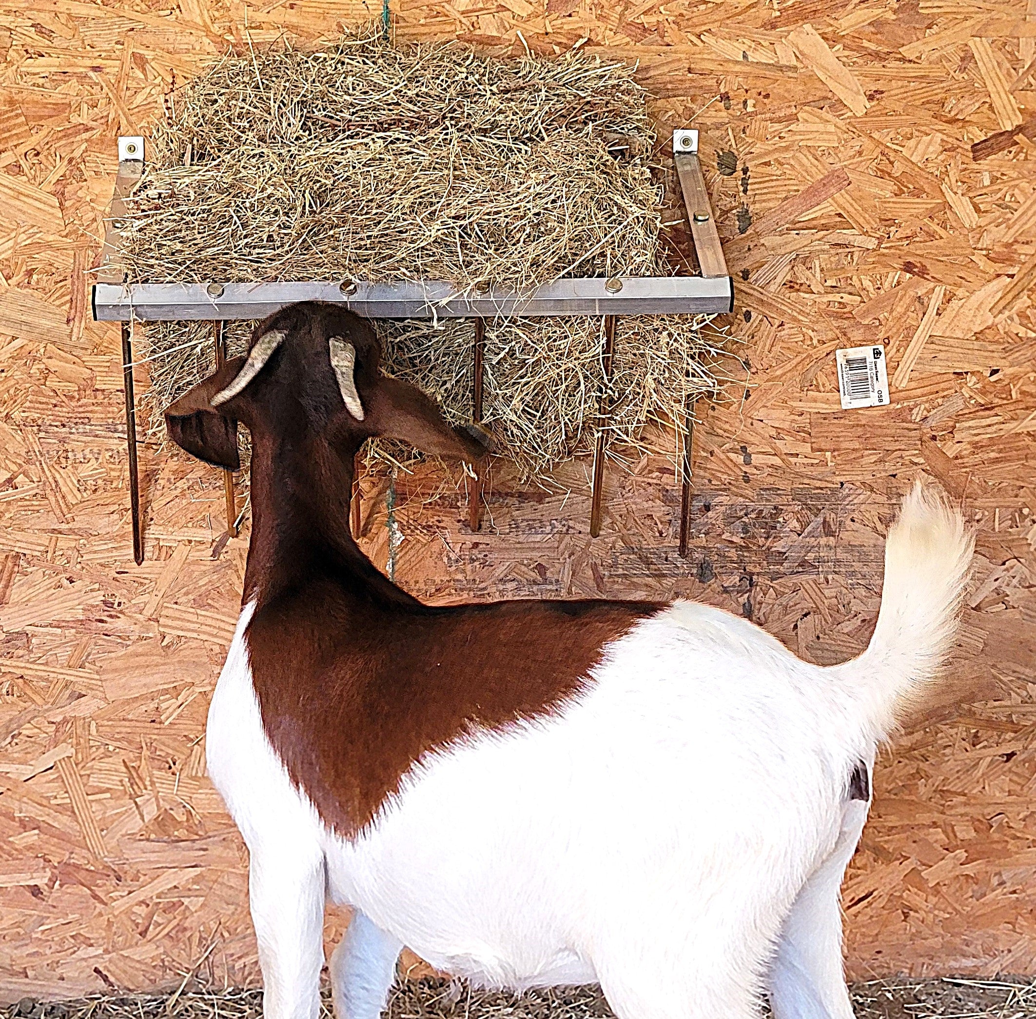 24 Inch Wall Mounted Sheep & Goat Two Flake Hay Feeder - Durable Aluminum Alloy - USA Made - Perfect for Barns, Stables & Pastures