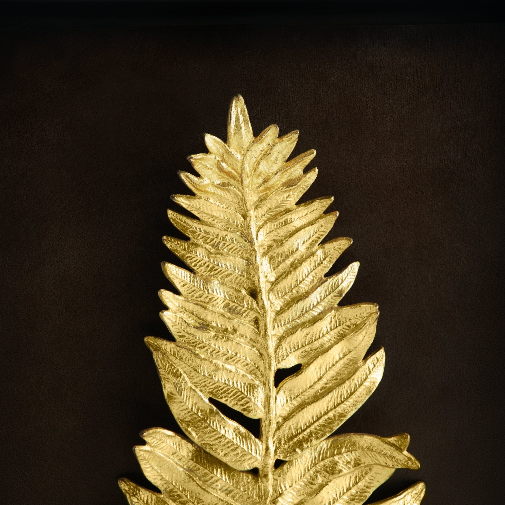 Fern Shadow Box Frame - Preserved Real Ferns in Glass Display for Home Decor, Wedding Centerpieces & Wall Art - Perfect for Nature Lovers & Botanical Decor