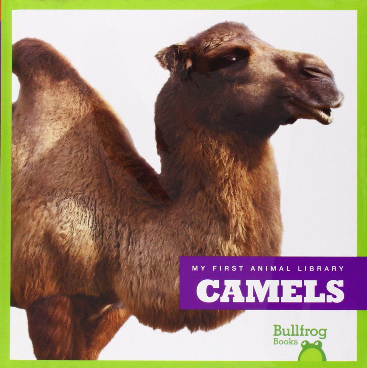 Camels - My First Animal Library Book for Kids | Bullfrog Books | Learn About Desert Animals & Habitats | Perfect for Classroom & Homeschooling