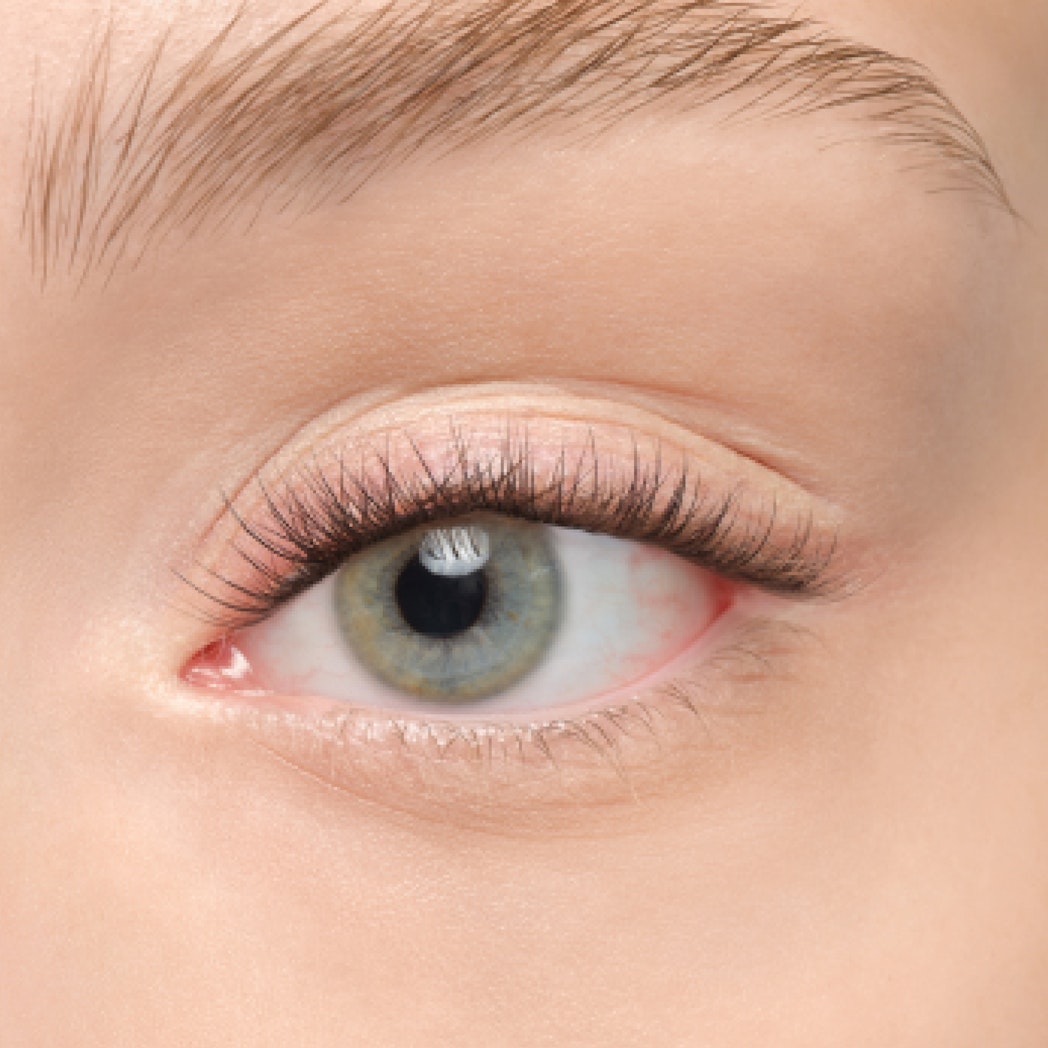 Plushy Gossamer® False Eyelashes - Natural Wispy Lashes for Dramatic Eye Makeup | Perfect for Parties, Weddings & Special Occasions