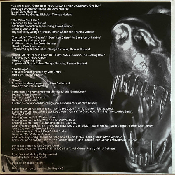 Genesis Owusu - Smiling With No Teeth (2xLP, Album, Limited Edition Red Vinyl, Mint Condition) - Perfect for Record Collectors & Vinyl Enthusiasts