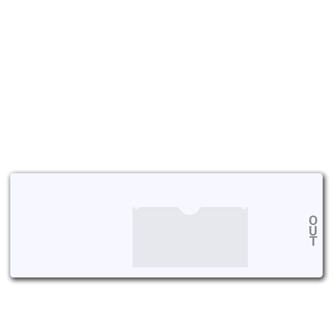 Economy Vinyl Outguides with Charge Out Slip Pocket - Letter Size 4