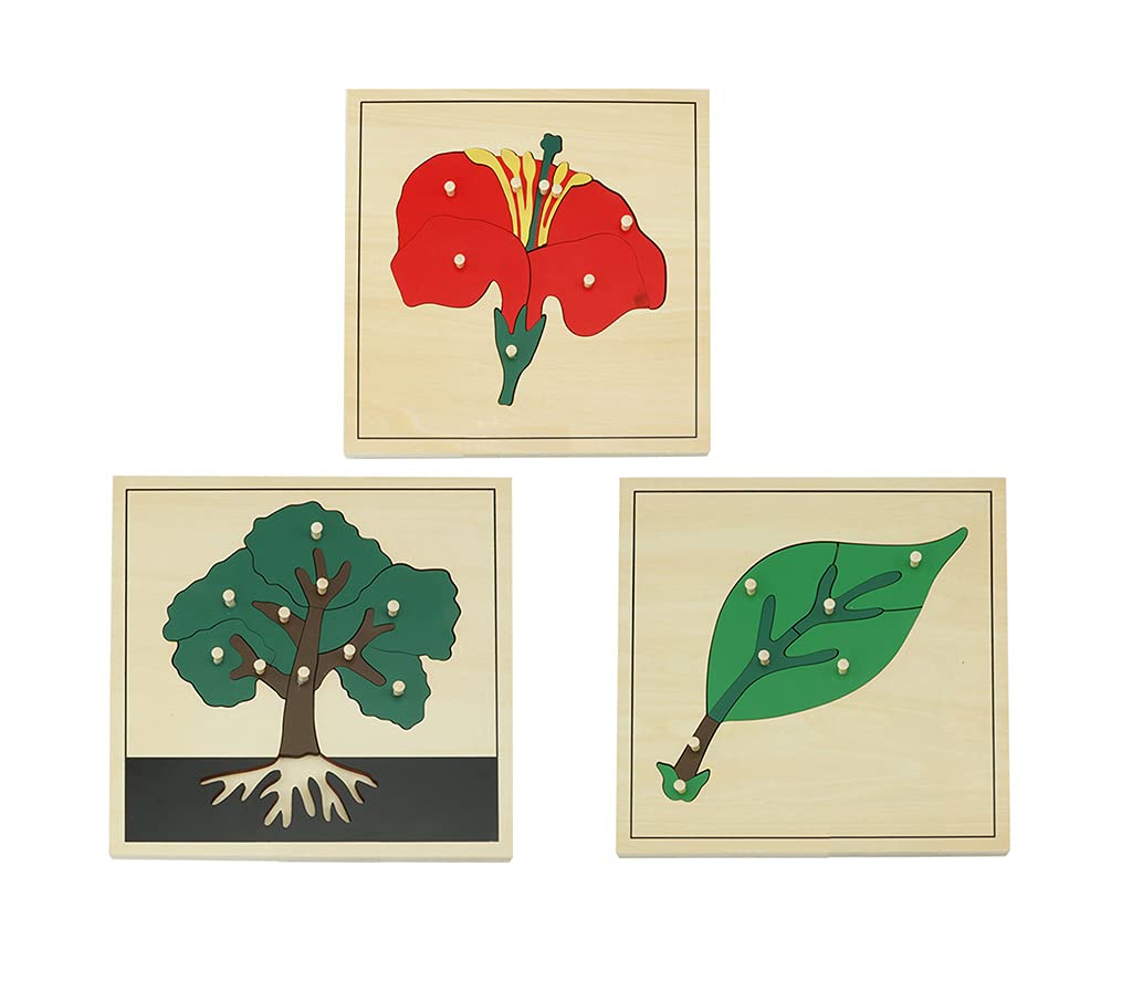 Montessori Wooden Puzzle Set - Tree, Flower, Leaf Educational Toys for Kids | 3-Piece Plant Learning Jigsaw | STEM Science Teaching Aids for Early Childhood Development | Perfect for Homeschooling & Classroom Activities