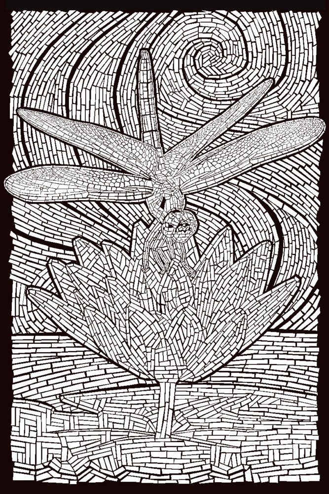 Dragonfly Coloring Book - 16x24 Inch Gallery Quality Metal Art Print, Aluminum Wall Decor for Home & Office - Perfect for Living Room, Bedroom, or Gift
