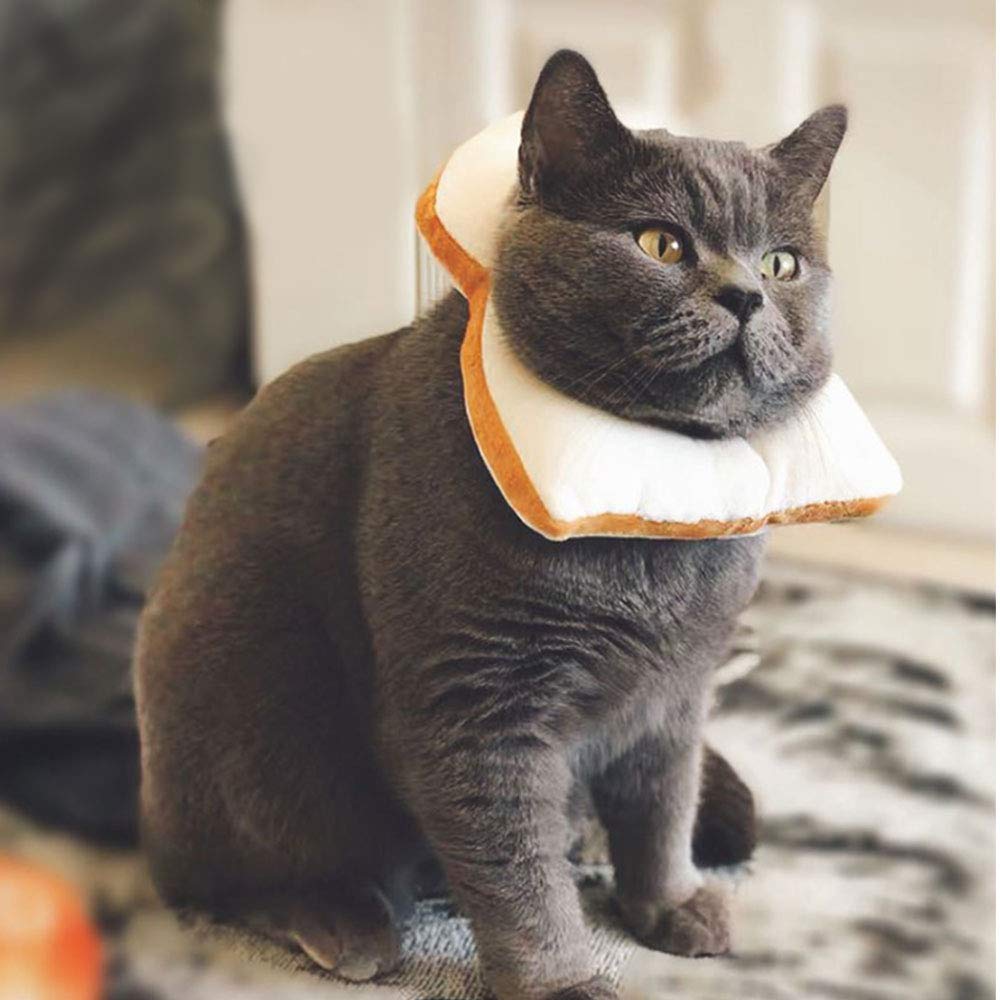 Oncpcare Soft Recovery Cat Cone & Dog E-Collar - Padded Pet Donut Collar for Wound Healing, Post-Surgery Protection - Prevents Scratching & Licking Stitches (Ideal for Cats, Puppies & Small Dogs) - Perfect for Post-Surgical Care, Wound Recovery & Allergy Protection