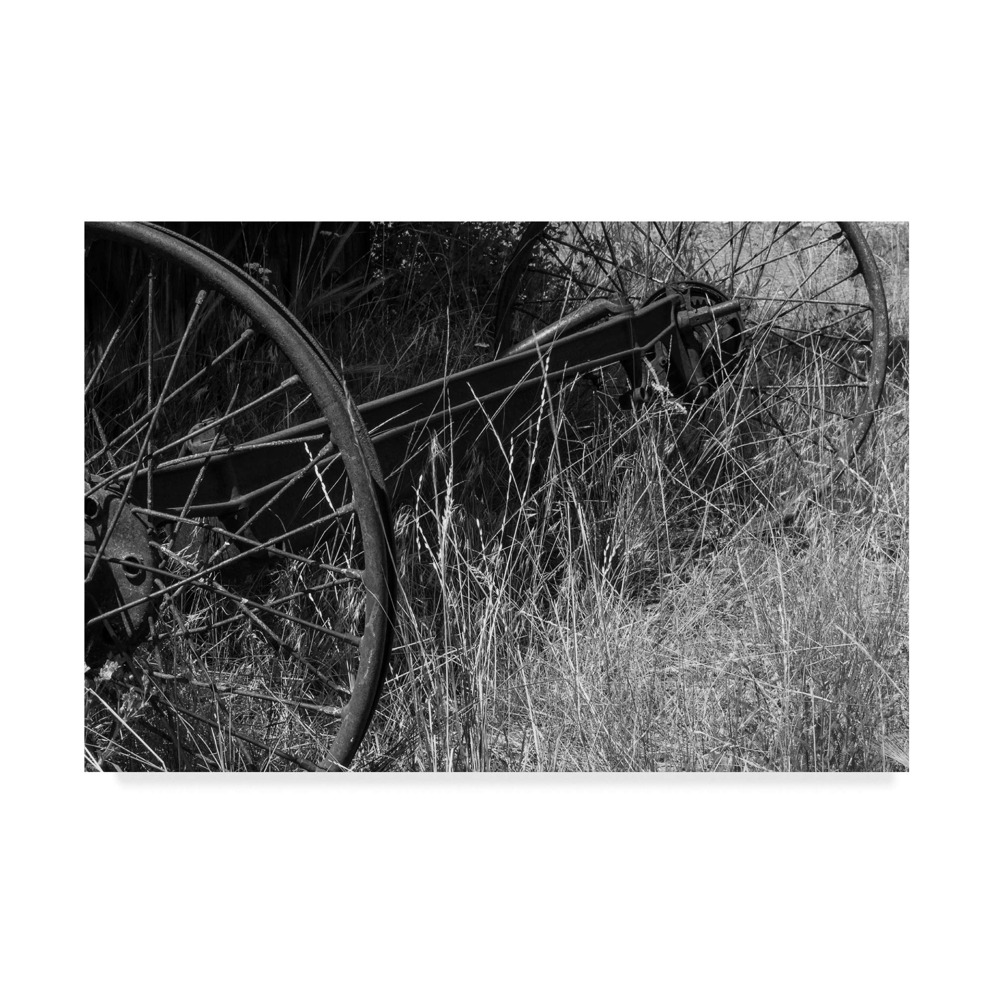 Trademark Global Brenda Petrella 'Iron and Hay' Canvas Wall Art Print - Farmhouse Decor for Living Room, Bedroom & Office