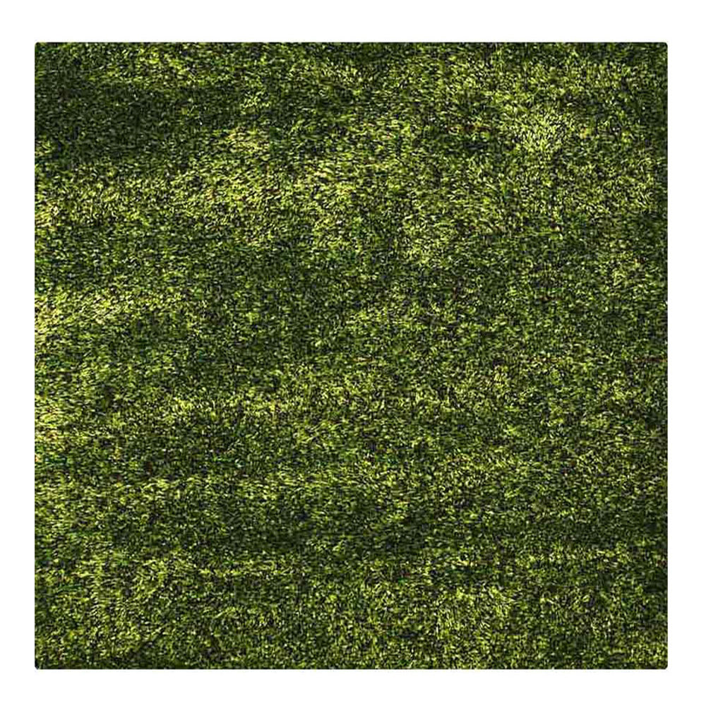 Luxury Shag Hand Tufted Area Rug - Soft Fluffy Plush Carpet for Living Room, Bedroom, Nursery - Cozy Home Decor for Winter Comfort