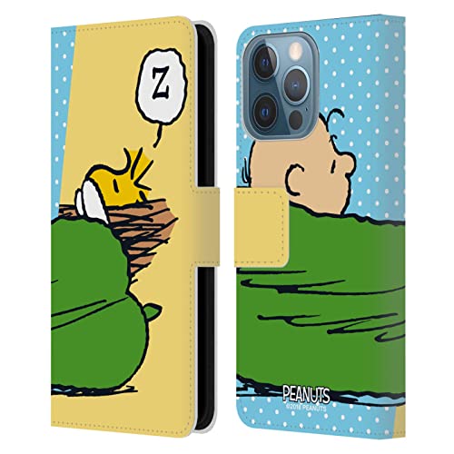 Charlie & Woodstock Nap