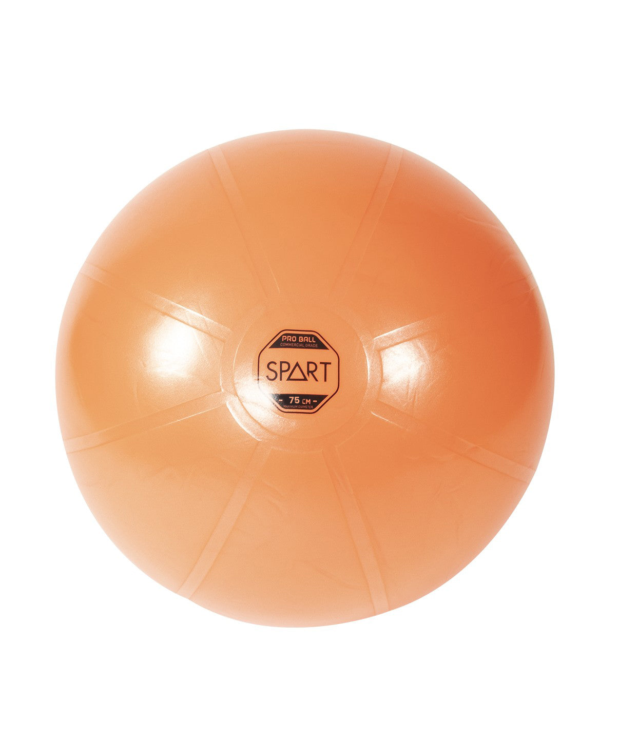 Premium Anti-Burst Exercise Ball for Yoga, Pilates & Core Workouts - Heavy Duty Stability Ball for Home Gym, Fitness & Physical Therapy - 55cm, 65cm, 75cm Sizes Available