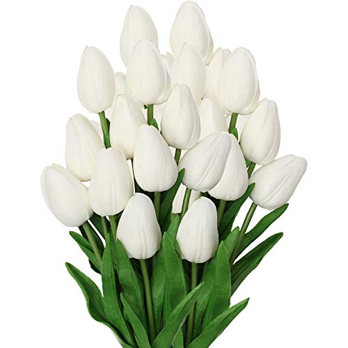 White #20