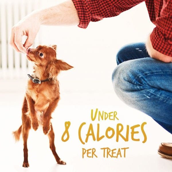 Fruitables Baked Pumpkin & Banana Dog Treats - Healthy Natural Dog Snacks for Training & Rewards - Perfect for Small & Medium Dogs