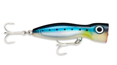 BLUE SARDINE
