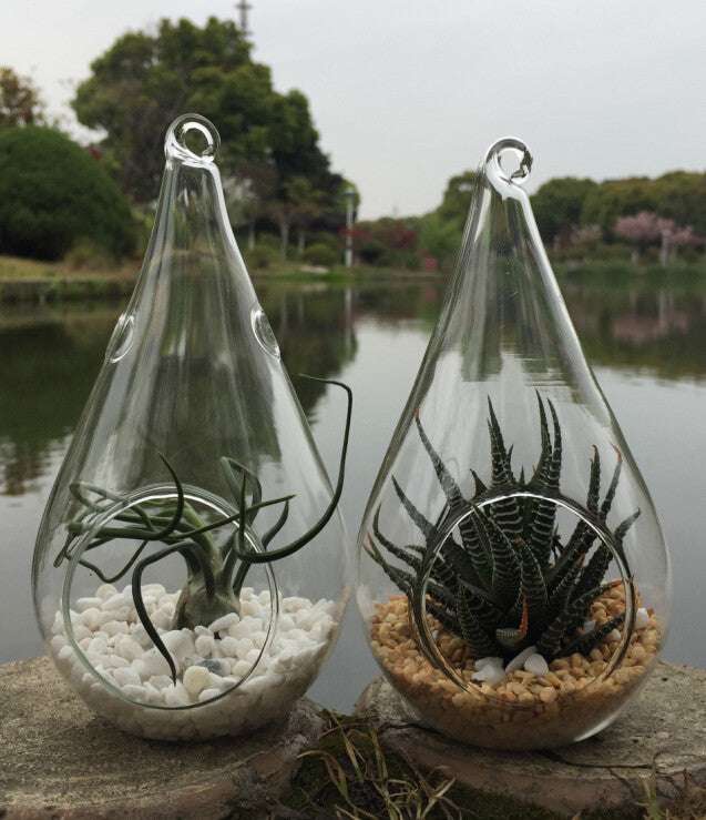 10 Pack Clear Glass Tealight Candle Holders - Hanging Tear Drop Pear Hourglass Shape (20cm High) for Terrariums, Mini Gardens, Wedding Decor & DIY Crafts - Perfect Home Decoration Gift Set